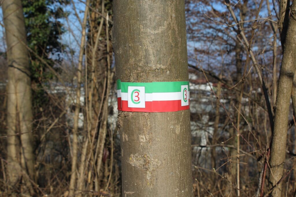 Cammino dei Tre Campanili