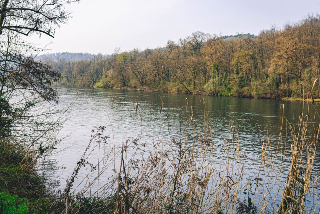 Trekking a Golasecca