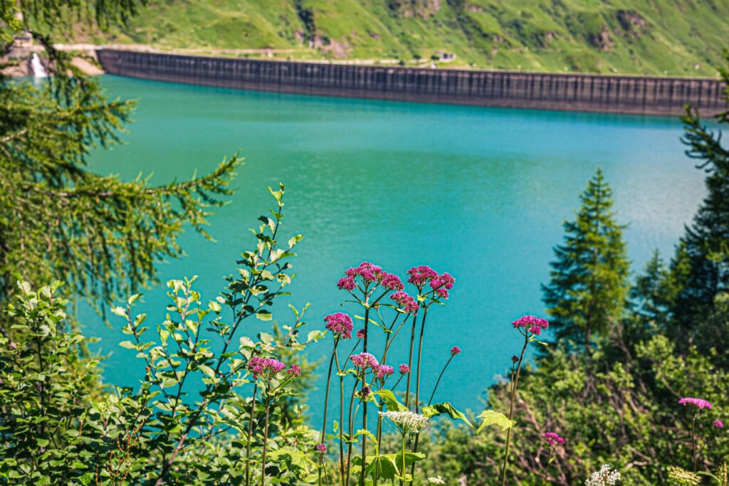 Giro del lago di Morasco
