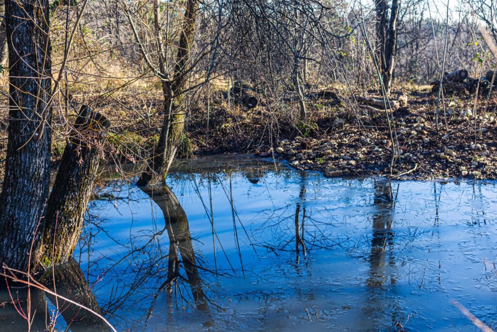 Stagno della Tagliata